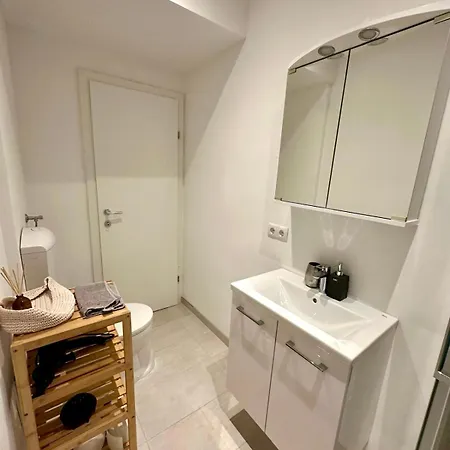 Elegante Mit Balkon - Nähe Stadthalle Apartment Graz